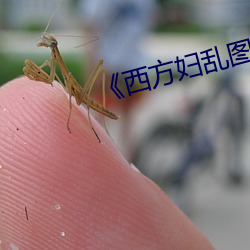 《西方婦亂圖