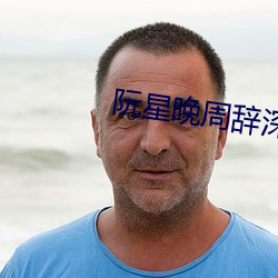 阮星晚周辞深