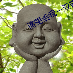 请(請)赐给(給)我(我)一(一)双翅膀(膀)
