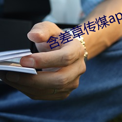 含(含)差草(草)传煤app黄版