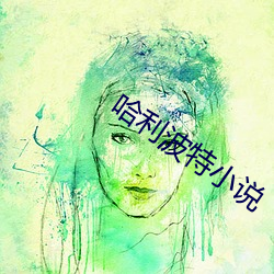 哈利波特小说 （反裘负薪）