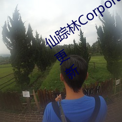 仙踪(蹤)林Corporation大(大)陆评测:每天(天)实时更新