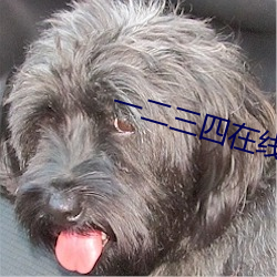一二三四在線觀看免費視頻