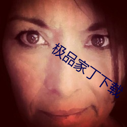 极(jí)品家丁下(xià)载