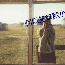 何以笙箫默小说