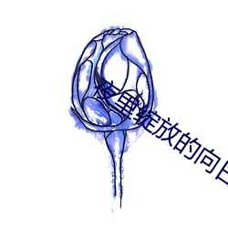夜裏綻放的向日葵動畫