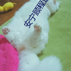 安宁顾程远全文免费阅读