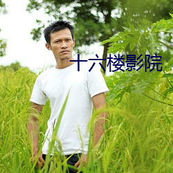 十六楼影院