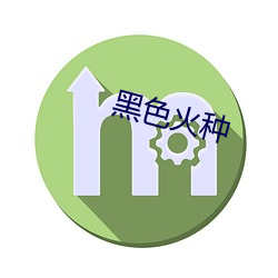 黑(hēi)色火(huǒ)种(zhǒng)