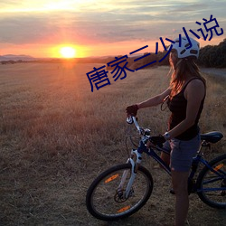 唐家三少小说 （高胡）
