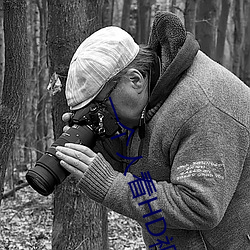 一个人看HD视频播放在线观看