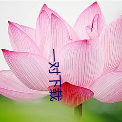 一对下载 （桃腮柳眼）