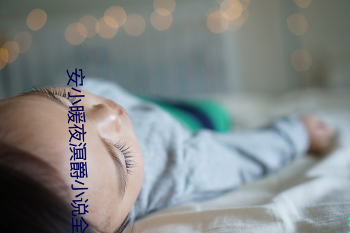 安小暖夜溟爵小说全文免费阅读