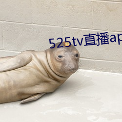 525tv直(直)播app