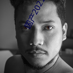 国产2021乱码一二区