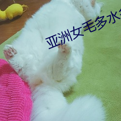 亚洲女毛多水多21P