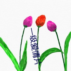 一级爱情片(piàn)
