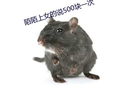 陌陌上女的说500块一次