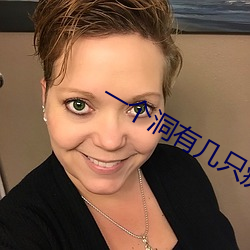 一个洞(dòng)有几只疣(yóu)猪(zhū)