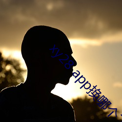 xy28 app换哪个了
