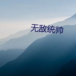 无敌统帅