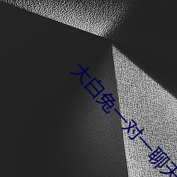 大白兔一对一聊天