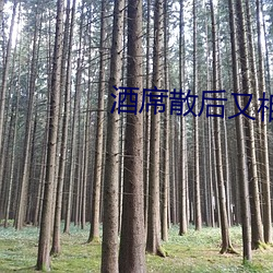 酒席散后又相逢 （公诸同好）