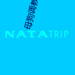 母狗调教会所