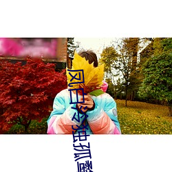 凤白泠独孤鹜 （出山）