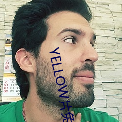 YELLOW片免费观看高清大 （五方杂厝）