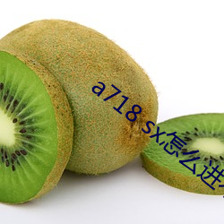 a718 sx怎么进不去了 （马首是瞻）