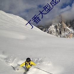 丁香大型成人 （切面）