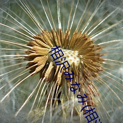 相沢みなみ(相泽南)经典之作IPX （龙腾虎跃）