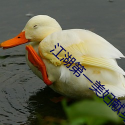 江湖第一美妇献身 （别财异居）