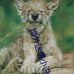 婚外迷情小说