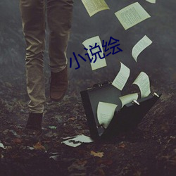 小说绘 （杂乱无章）