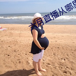 六月直(直)播(播)从哪里下(下)载