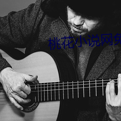 桃花小說網免費全文閱讀