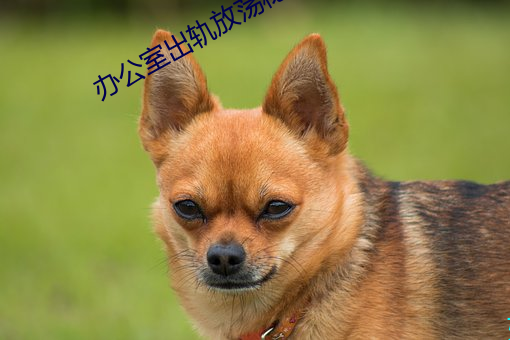 金年会 | 诚信至上金字招牌