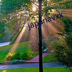 japanavxx