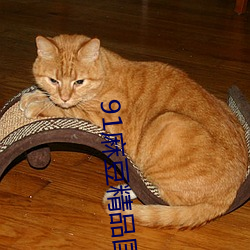 91麻豆精品国产91久久久久久更新资源速度超快 （怀道迷邦）