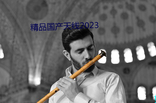 精(jīng)品国产天线2023