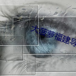大菠(菠)萝(蘿)福建(建)导(導)航在线入口18