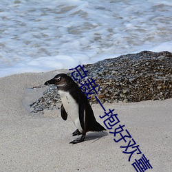 总裁一抱好欢喜