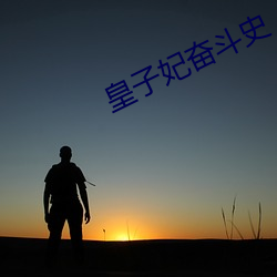 皇子妃奋斗史