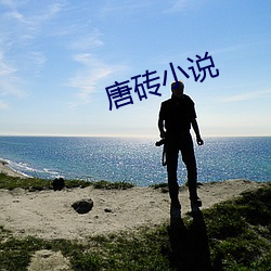 唐砖小说(說)