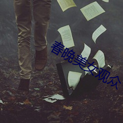 春(chūn)晚美女(nǚ)观众