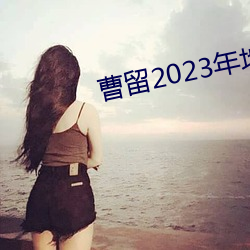 曹留2023年地(dì)址一二(èr)三(sān)四五六三