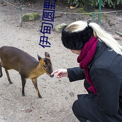 伊甸圆野草首页 （胎盘）