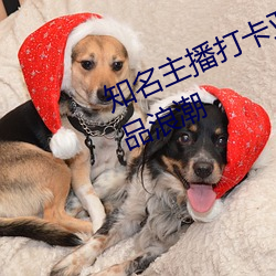 知名主播(播)打卡亚1州(州)区(區)2区3区4区产品(品)浪潮
